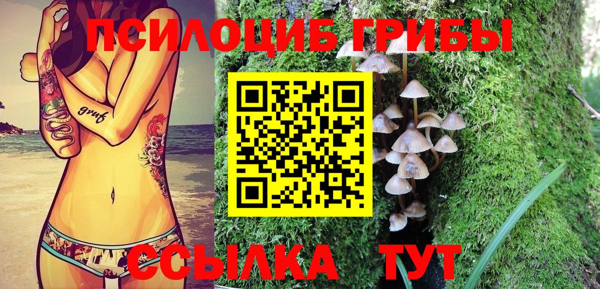 Псилоцибиновые грибы MAGIC MUSHROOMS Мариинск