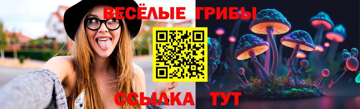 Псилоцибиновые грибы Psilocybine cubensis  Вход с VPN  Псилоцибиновые грибы GOLDEN TEACHER  Мариинск 